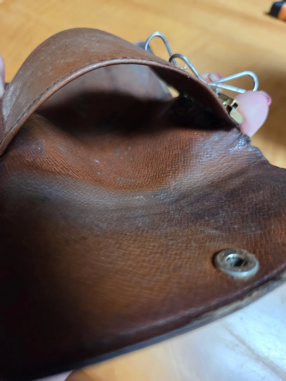 Louis Vuitton authentic louis